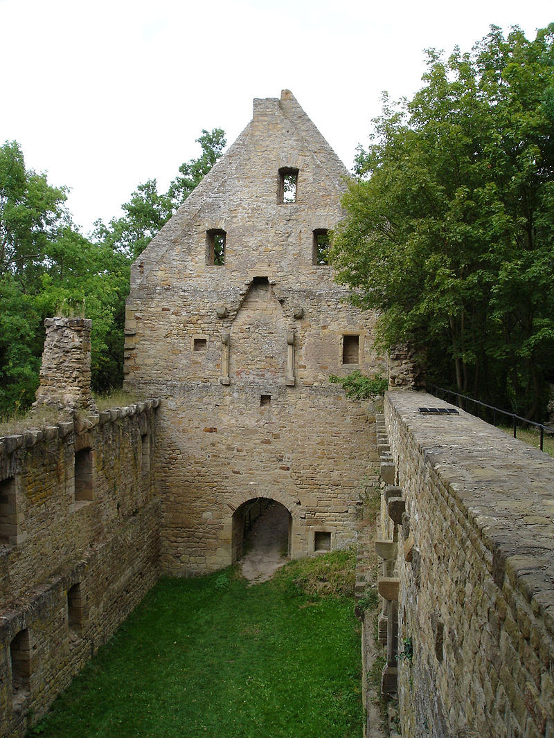 Bild Kloster Disibodenberg